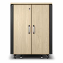 APC NetShelter Soundproof Serverschrank, 17HE, 230V, 1000H x 750B x 1134T mm, Ahorn 