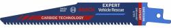 Bosch Expert 2608900379 Stichsägeblatt Hartstahl [HCS] 10 Stück[e] 