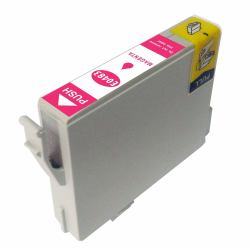 CTS Comp Epson Stylus R300 Magenta Ink Ctg T048320 [E0483]