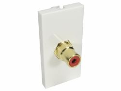 Cables Direct AV-MOD1RCARD Steckdose RCA Weiß 