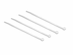 DeLOCK 18605 Kabelbinder Nylon 100 Stück[e] 