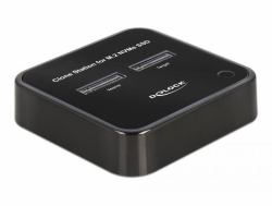 DeLOCK M.2 Dockingstation für 2 x M.2 NVMe PCIe SSD mit Klon Funktion 