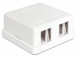 DeLOCK 86207 Drahtverbinder 2x Keystone Weiß 