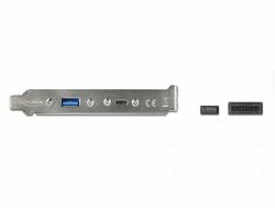 DeLOCK Slotblech mit 1 x USB Type-C™ und 1 x USB Typ-A Port 