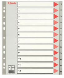 Esselte 100125 Tab-Register Numerischer Registerindex Polypropylen [PP] Grau 