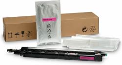 HP LaserJet Magenta 720000Seiten Entwicklereinheit 