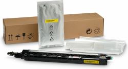 HP LaserJet Yellow 720000Seiten Entwicklereinheit 