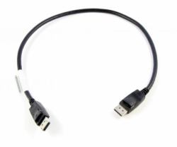 Lenovo 0.5m DisplayPort 0,5 m Schwarz 