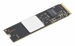 Lenovo 4XB1V57573 Internes Solid State Drive 256 GB M.2 PCI Express 4.0 NVMe 