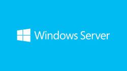 Microsoft Windows Server 2019 Kundenzugangslizenz [CAL] 