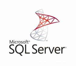 Microsoft SQL Server Web 2 Lizenz[en] Mehrsprachig 