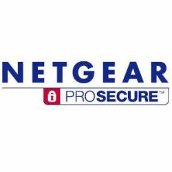 NETGEAR ProSecure Web Subscription, 1Y, UTM25S 1 Jahr[e] 
