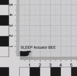 Nintendo ACT/SLEEP [K1] BEE