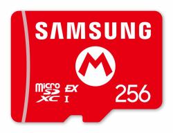 256 GB Nintendo Samsung microSDXC Expr