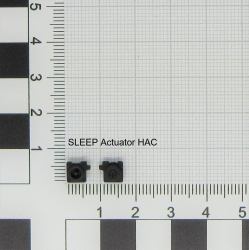 Nintendo ACT/SLEEP[K1] HAC