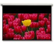 Optoma Panoview 16:9 106" Projektionsleinwand 2,69 m [106 Zoll] 