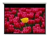 Optoma Pantalla 16:9 2656 x 1494mm Projektionsleinwand 3,05 m [120 Zoll] 