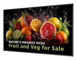 Philips 5000 series 98BDL5050D/00 Signage-Display 2,49 m [98"] LCD WLAN 600 cd/m² Full HD Schwarz Eingebauter Prozessor Android 