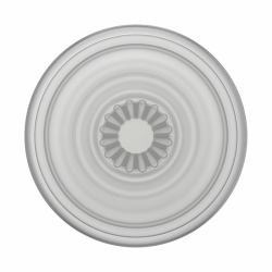 PopSockets PlantCore Grip Faded Stone 