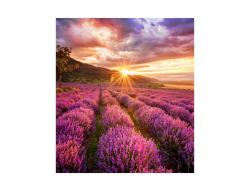 Samsung LH020IFHBAE Videowand-Display Direct view LED [DVLED] Drinnen 