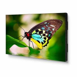 Sharp UN552 Videowand-Display LED 