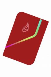 SureFire PyroDrive Gaming SSD 2TB USB Typ-C 3.2 Gen 1 [3.1 Gen 1] Rot 