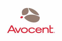 Vertiv Avocent SCNT-1YGLD-A-100PK Software-Lizenz/-Upgrade Basis 100 Lizenz[en] 
