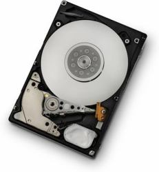 Western Digital Ultrastar C10K600 Interne Festplatte 300 GB 10000 RPM 64 MB 2.5" SAS 