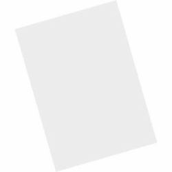 Zebra MISC-MC93-SCRN-01 Zubehör für tragbare Computer Displayschutz 