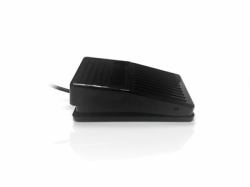 Accuratus MOU-USBPEDAL-X1P Anderes Eingabegerät USB Schwarz 