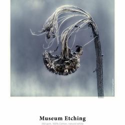 hahnemuehle Hahnemühle Museum Etching Natürlich/Natur, Weiß Matt 