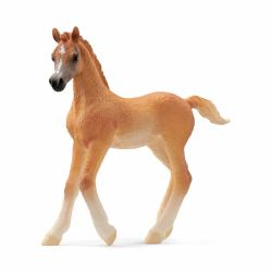 schleich HORSE CLUB Araber Fohlen 
