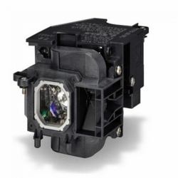 LampTek NP23LP / 100013284 Projektorlampe 270 W (Lamp for NEC NP-P451X Projector Lamp/NEC NP-P501XG Projector Lamp/NEC NP-P501X Projector Lamp/NEC P501X Projector Lamp/NEC NP-P451W Projector Lamp/N...