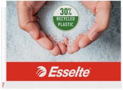 Esselte 55230 Klarsichthülle 300 x 420 [A3] Polypropylen [PP] 50 Stück[e] (Ficka PP A3L 75my klar 50 st)