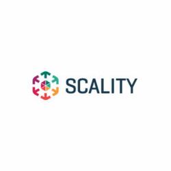 HPE Scality RING Flash 200TB -1PB SW [per TB] with REST and SWIFT Base E-LTU for HP ProLiant Svrs Local storage (SCALITY RING HDD 200TB -1PB E-LTU)