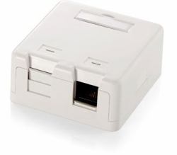 Equip 125122 Steckdose Weiß (2-Port Keystone Jack Surface - Mount Box - Warranty: 12M)