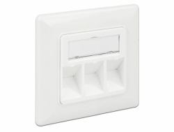 DeLOCK 86194 Steckdose RJ-45 Silber, Weiß (Delock Keystone Wall Outlet - stik til)