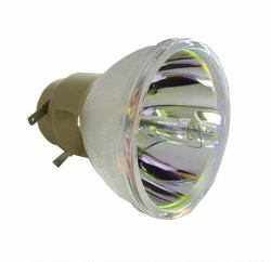 Acer MC.JPE11.001 Projektorlampe 203 W 