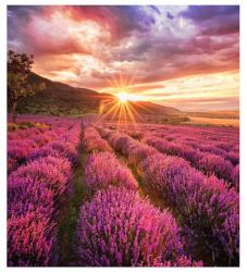 Samsung IF015H-E LED Drinnen (SAMSUNG LED - IF-E 1.5MM CABINETS)