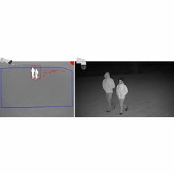 Axis 01725-001 Software-Lizenz/-Upgrade Voll 1 Lizenz[en] Arabisch, BRA, Traditionelles Chinesisc...
