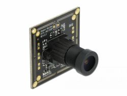 DeLOCK 96397 Versteckte Kamera (Kamera 2, 1 Megapixel 100Â° Fixfokus, USB 2.0, PC-ZubehÃ¶r, Industrie Embedded)