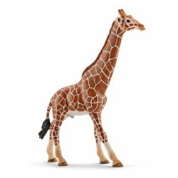 schleich WILD LIFE Giraffenbulle (Schleich Wild Life 14749, Brun, 3 Ã?r,)