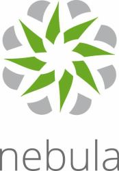 Zyxel LIC-NPRO-ZZ1Y00F Software-Lizenz/-Upgrade 1 Lizenz[en] 1 Jahr[e] 