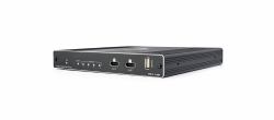 Kramer Electronics VW-4 Schwarz (VW-4 - 4 Output Video Wall Driver)