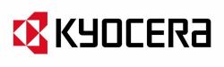 KYOCERA Life Plus 1 Lizenz[en] 5 Jahr[e] 