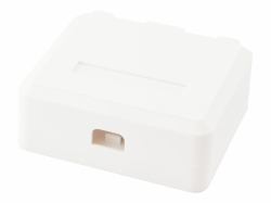 Equip 125124 Steckdose Weiß (2-Port Keystone Jack Surface - Mount Box - Warranty: 12M)