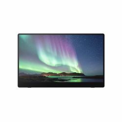 Ricoh 150 Mobiler Monitor (RICOH Portable O-LED Monitor 150)