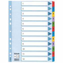 Esselte Mylar Indices & Dividers Numerischer Registerindex Karton Mehrfarbig (Esselte Mylar register karton A4 1-12)