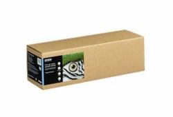 Epson C13S450263NQ Plotterpapier 15 m 43,2 cm (FA COT SMOOTH NATU II-17IN 15M 300)