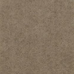 Middle Atlantic Products Focal Point TruTile Acoustic Wall Panel in Hazelwood, Wide Rule (WIDE RULE 2'X2' STANDARD HAZELWOOD)